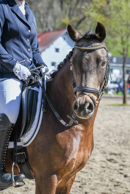 过去的几场 过去的几场