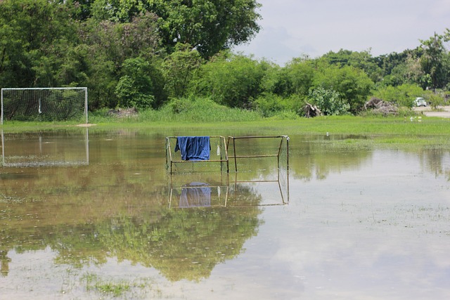 培养出众多 培养出众多