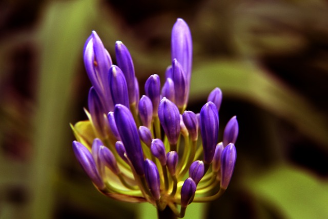 茁壮成长 茁壮成长