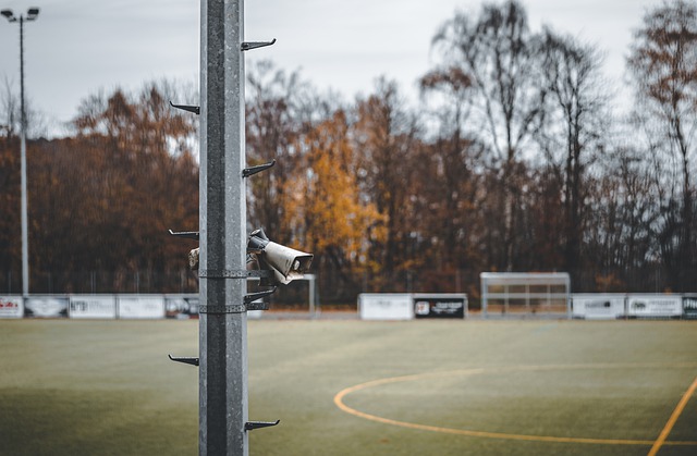 能表现出色 能表现出色