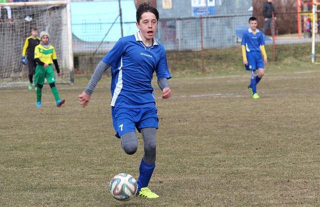 成的智慧 成的智慧