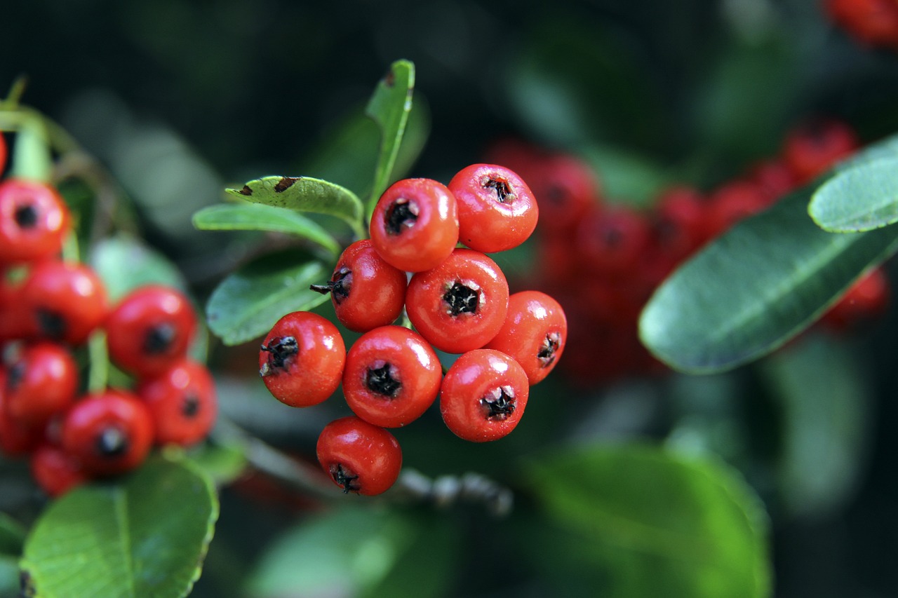 纪律文化 纪律文化