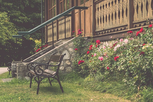 小众的运动 小众的运动